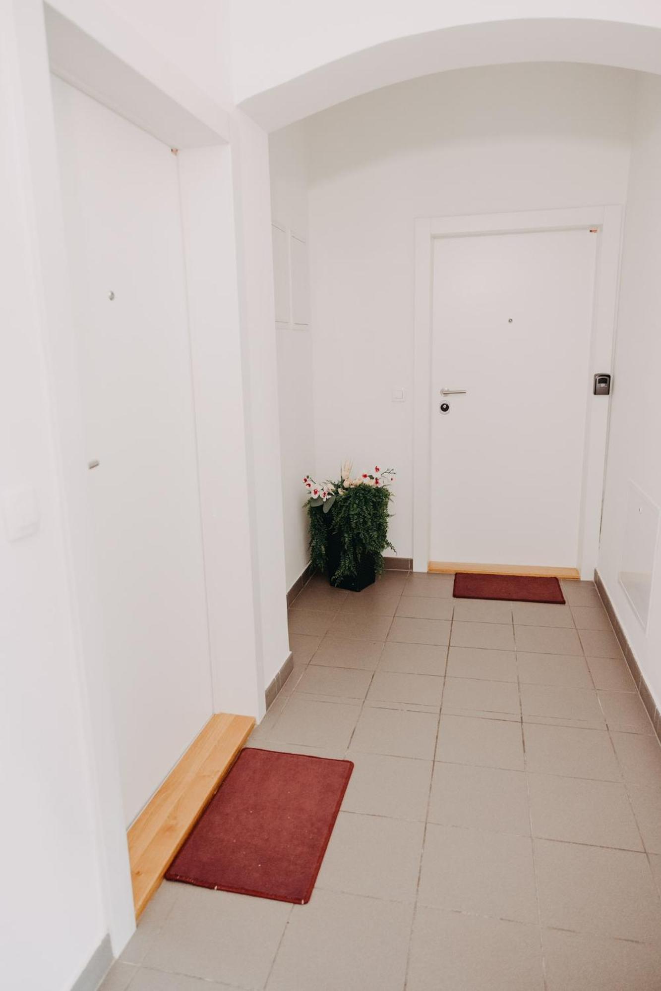 Apartments Miki'S 블레드 외부 사진